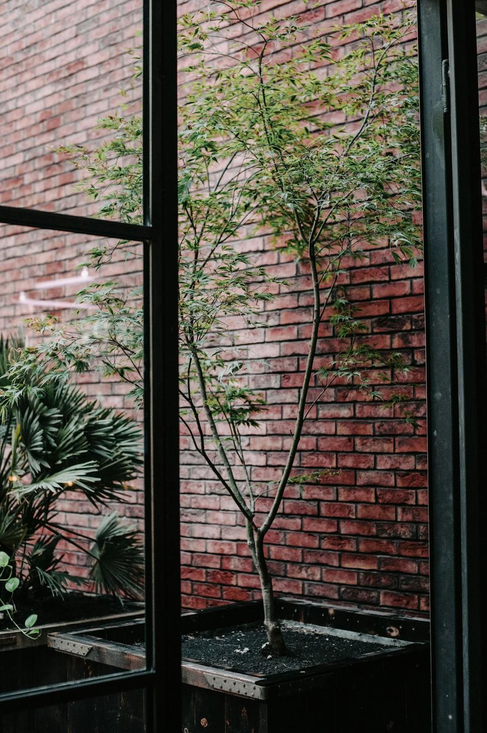 Artisan Market Interior